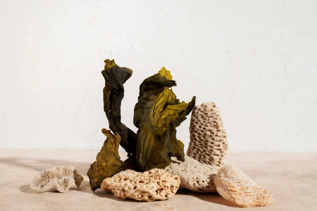 aquariumproductsonline (3)